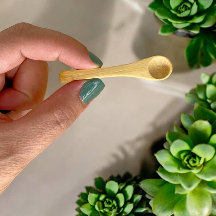 Bamboo Switch - Wholesale Measuring Spoon - Mini Bamboo Spice Spoon | Kitchen | Earth Day Bestseller