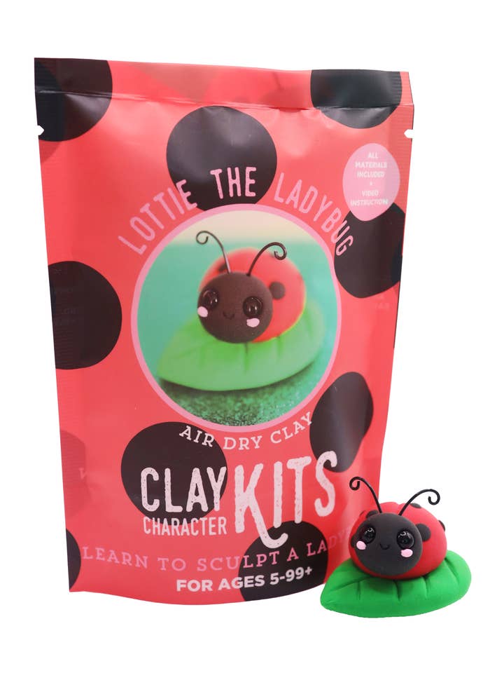 Lottie the Ladybug DIY Air Dry Clay Kit | Arts & Craft Kit for wholesale by The Make Station | DIY Clay Kits
