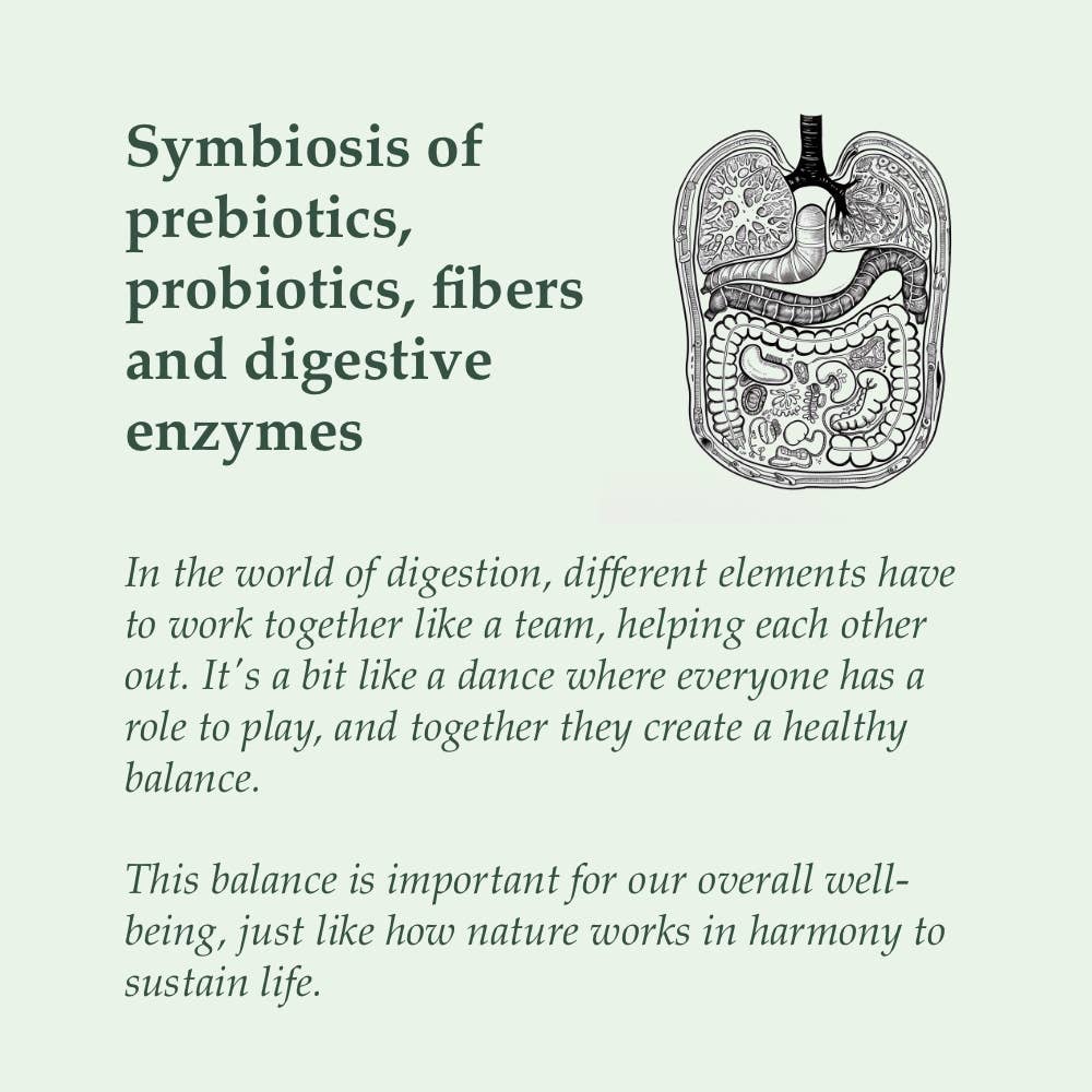 SOULEL - Wholesale Oral Supplement/Vitamin - Organic Biota - Digestive Support Botanical Blend4