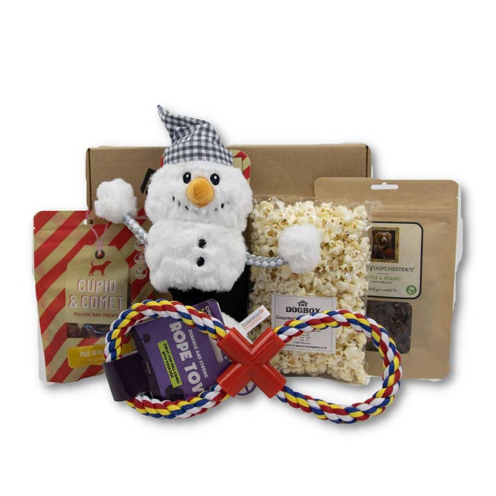 Christmas 5 Item DogBox for wholesale by DogBox Boutique