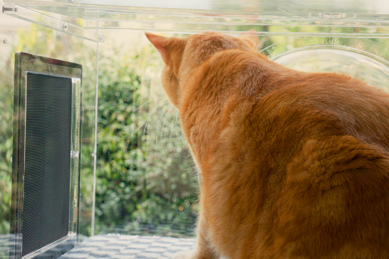 The Purrgola - Wholesale Pet Bed - Cat - The Purrgola8