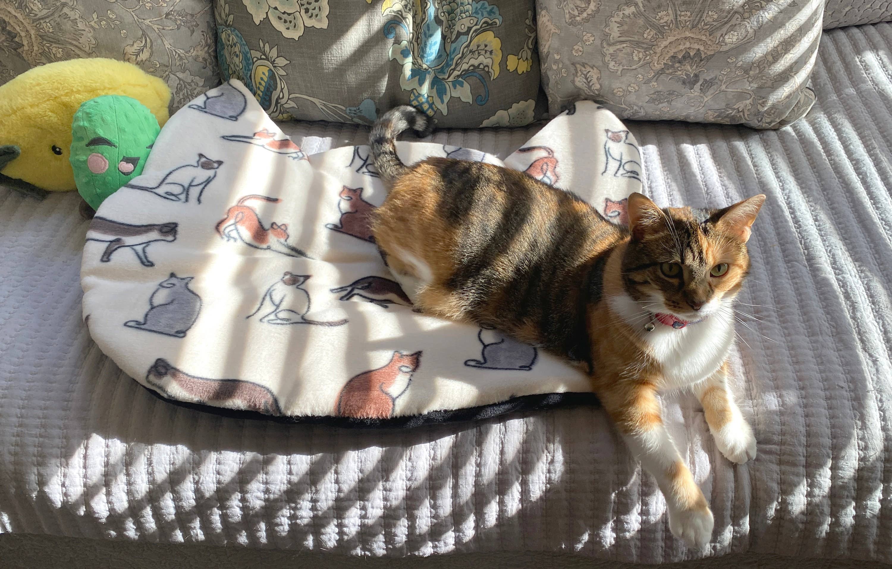 Screaming Pickles - Wholesale Pet Bed - Cat/Dog - Handmade Pet Bed/Mat Cat Head8