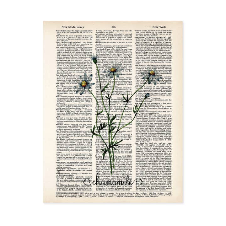 Botanisk kunst - Kamille - Tebutik Kunst - Kaffebar Kunst for engroshandel hos Blue Twist & Co