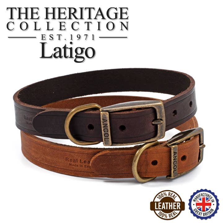 Ancol Pet Products Ltd – wholesale Pet collar – Dog – Latigo Leather Collar Chestnut2