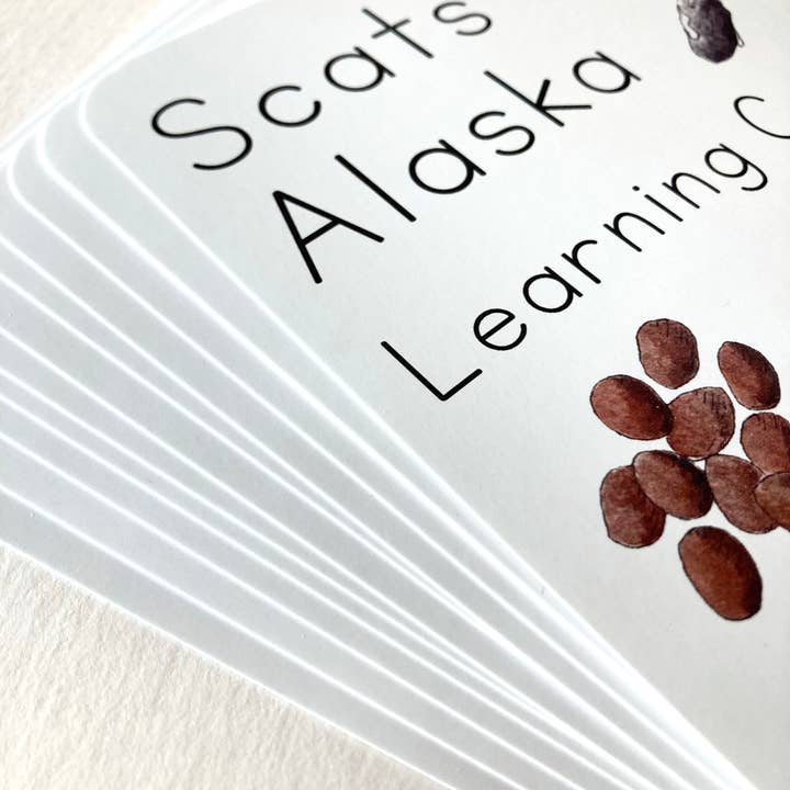 Tiny Nest Studio - Vendita all'ingrosso Carte didattiche - Bambini e neonati - Carte didattiche Scat of Alaska2