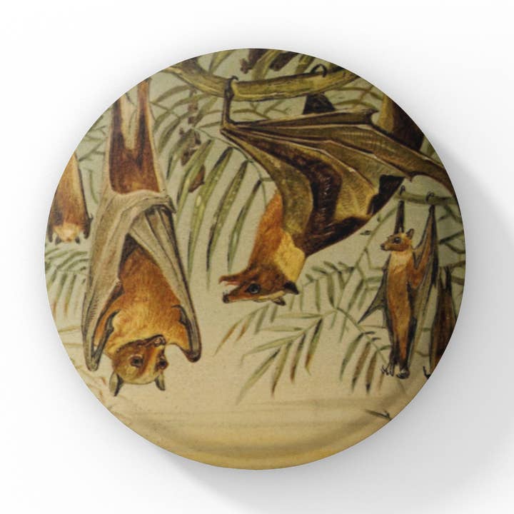 Botón con forma de murciélago, llavero de murciélago, imán para murciélagos, alfiler con forma de vida para venta al por mayor de NatureCuts