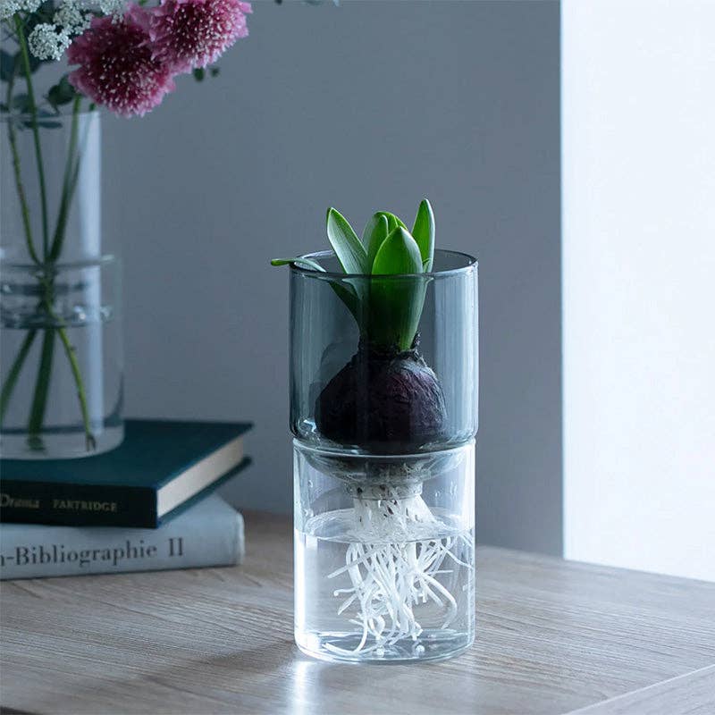 HARIO USA - Wholesale Vase - Glass Flower Vase15