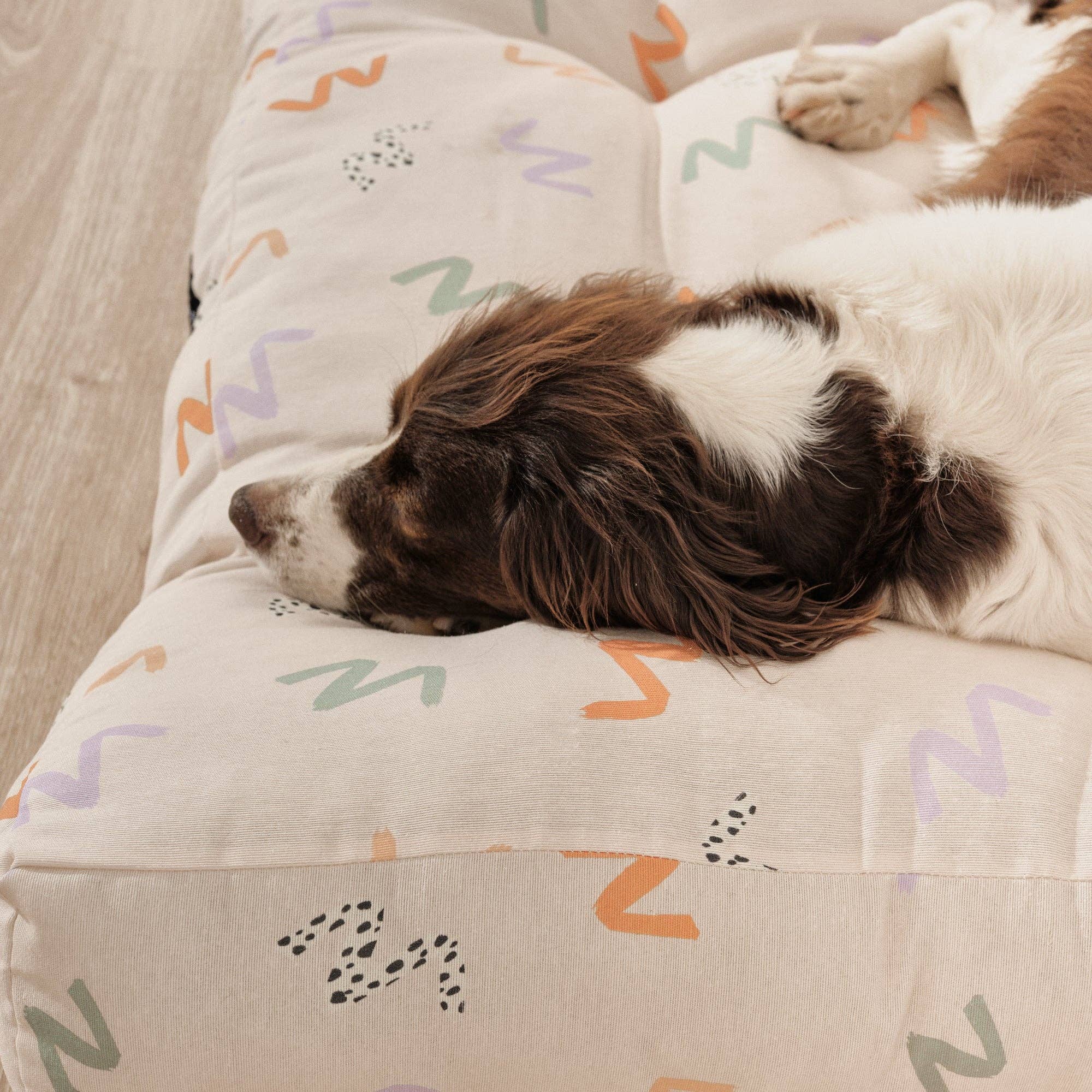 SG HOGAR – cama - Gato e cão por atacado – Cama acolchoada para cães e gatos em algodão resistente a manchas 0120-2012