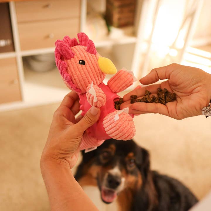 DASHI - Wholesale Pet Plush Toy - Dog - Dashi Dino Toy Trici3