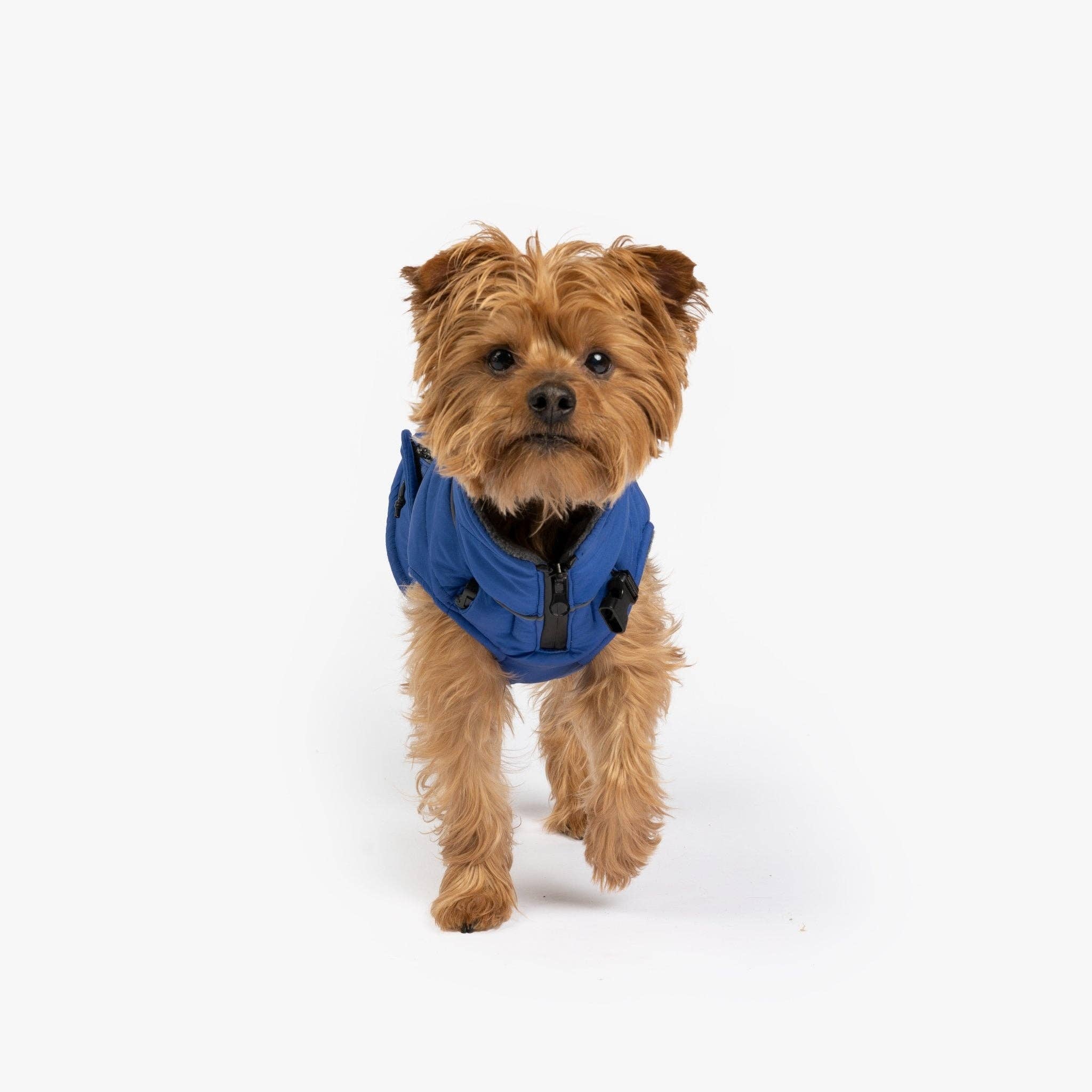 Silver Paw - Wholesale Pet Jacket - Dog - Monty Dog Jacket  Water-Resistant Jacket with Harness Attachment & Reflective Piping4