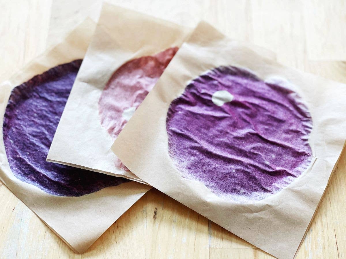 Hunt and Gather Dry Foods - Wholesale Dried/Dehydrated Fruit - Blueberry Vanilla Fruit Leather1