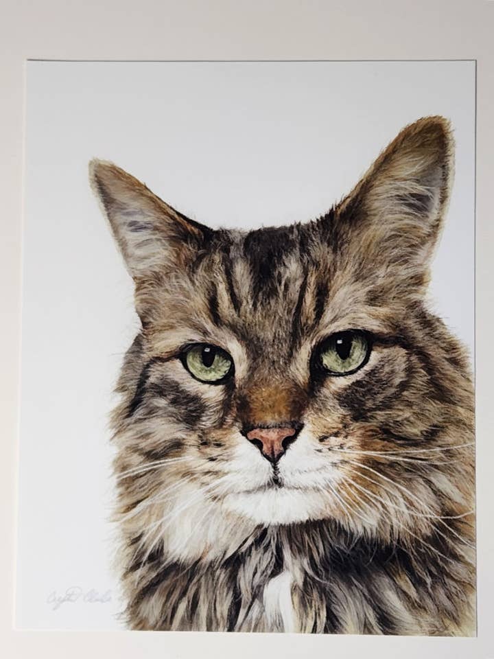 Majesty Award-Winning Cat Drawing, as Fine Art Print for wholesale by Crystal Clarke Animal Art