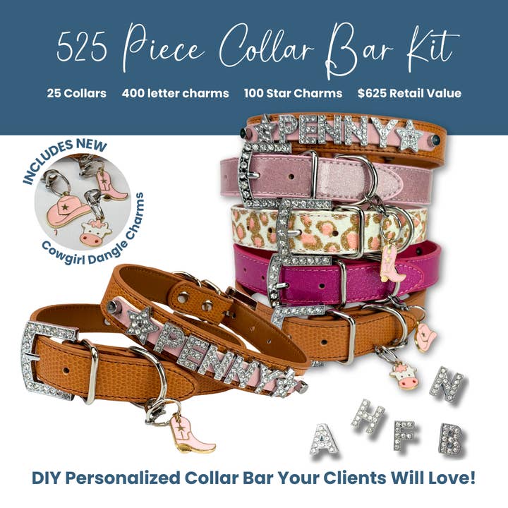 DIY Personalizable Rhinestone Cowgirl-525 Pieces-$625 MSRP for wholesale by House of FurBaby