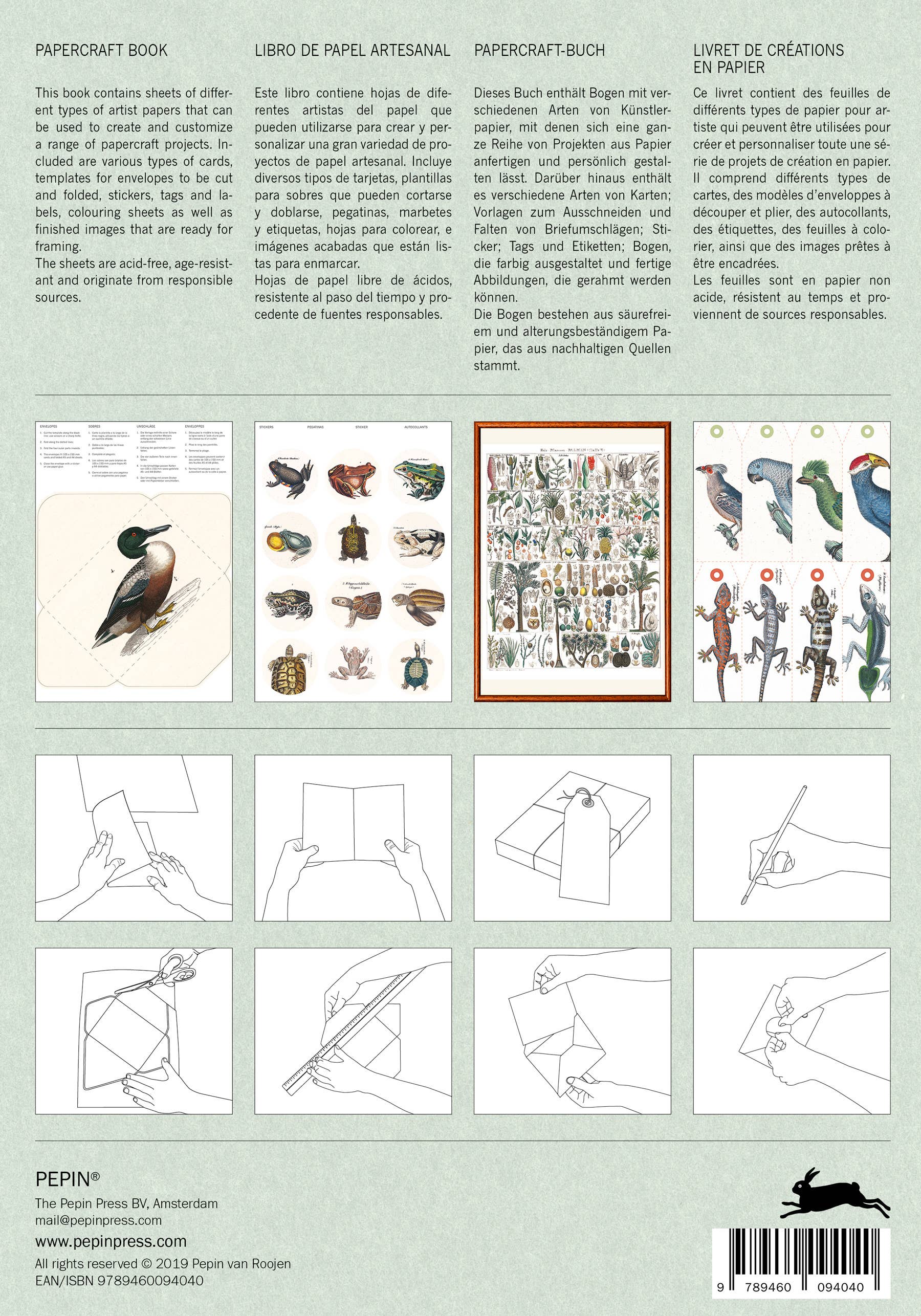 Pepin Press - Wholesale DIY Craft Kit - Natural History Papercraft Book1