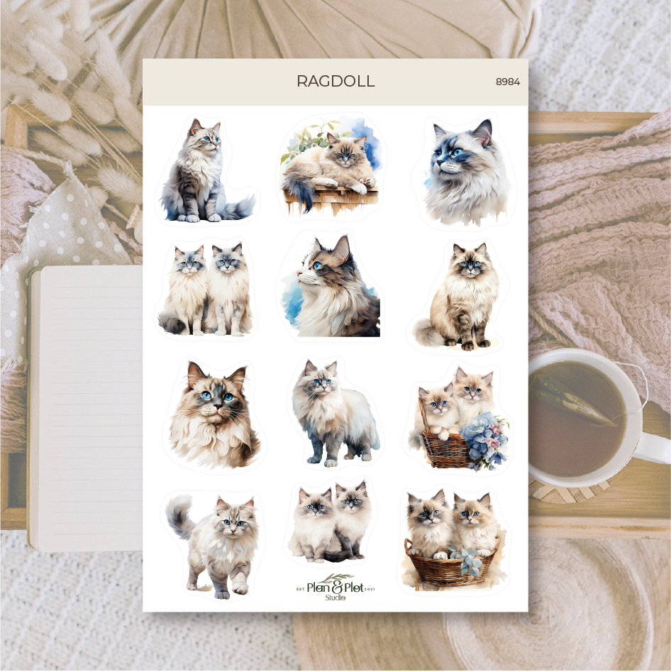 Plan & Plot Studio - Wholesale Sticker - Ragdoll | Stickers0