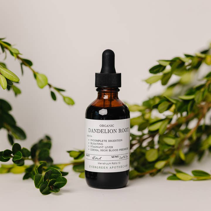 Evergreen Apothecary - Wholesale Tincture - Dandelion Root Tincture, 2oz, Alcohol Free4