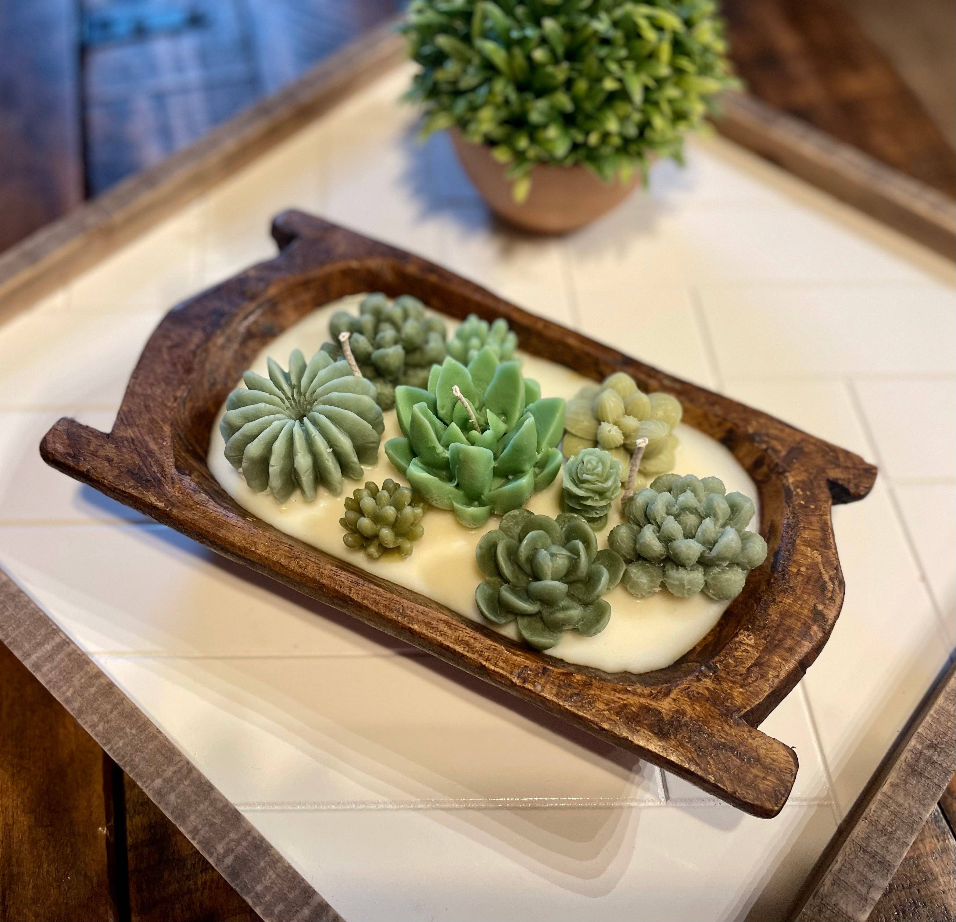 DIY Terrarium Kit – Golden State Succulents LLC