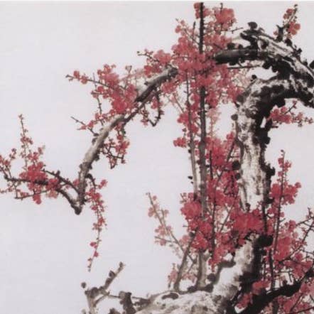 CATCH 12X12 DUBBELE KAARTEN NC 4865 voor wholesale door Phenicia