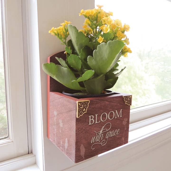 Maceta colgante de pared Bloom with Grace para venta al por mayor de Abbey + CA Gift