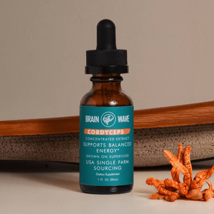 Teinture de champignon Cordyceps en gros pour la vente par Brain Wave