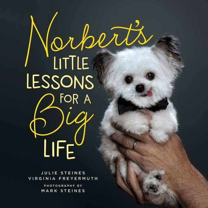 Norbert's Little Lessons for a Big Life by Julie Steines for wholesale by Simon & Schuster