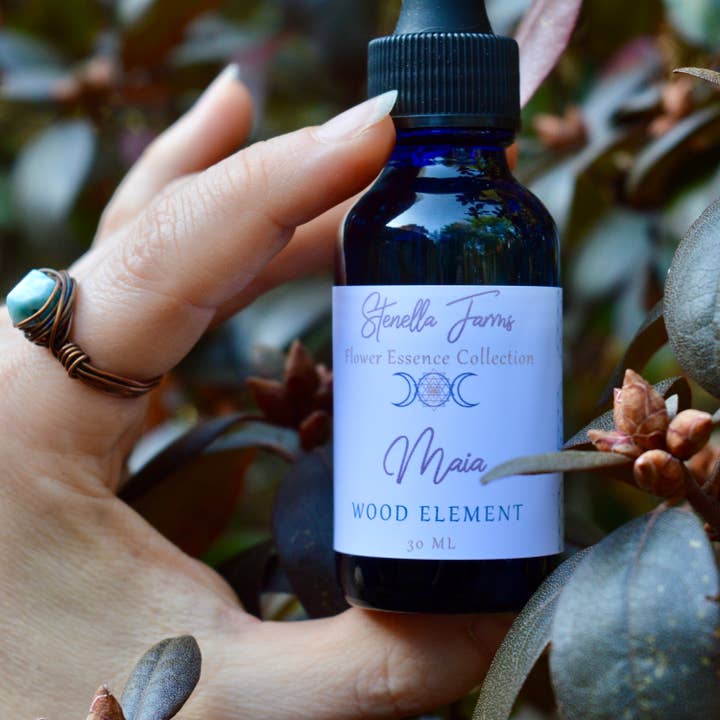 Essenza di fiori Maia per la vendita all'ingrosso da parte di Stenella Farms