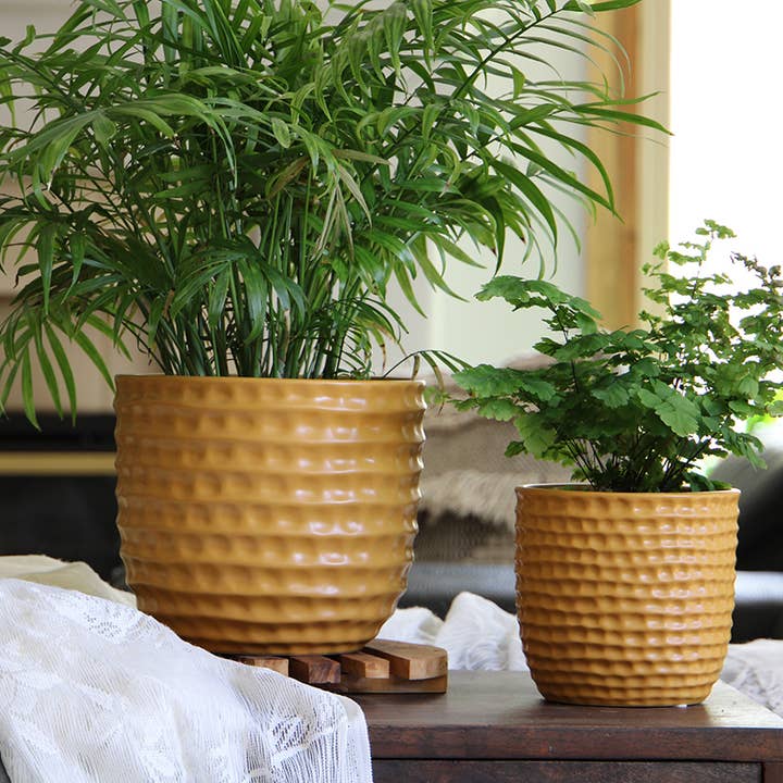 Honeycomb Planter, Mustard, 7.5"X7" for wholesale by Pacific Home & Garden