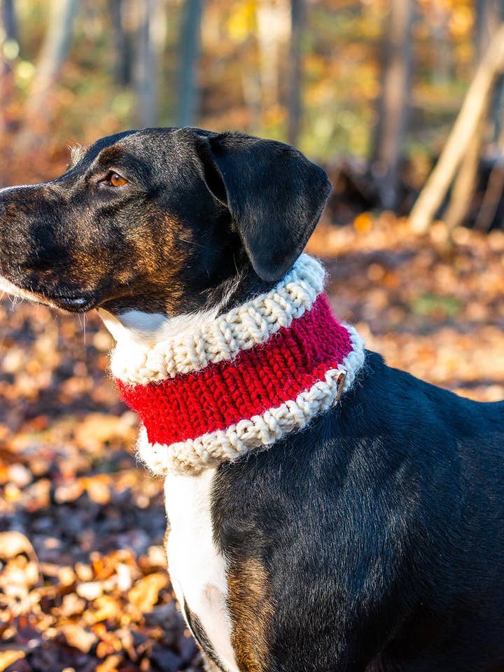 Capuchon, snood, écharpe pour chien de Noël pour la vente par Knits and Pups