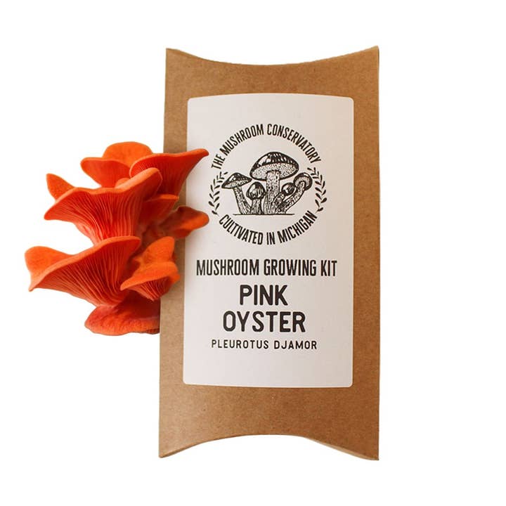 Kit de culture de pleurotes roses pour la vente par The Mushroom Conservatory LLC