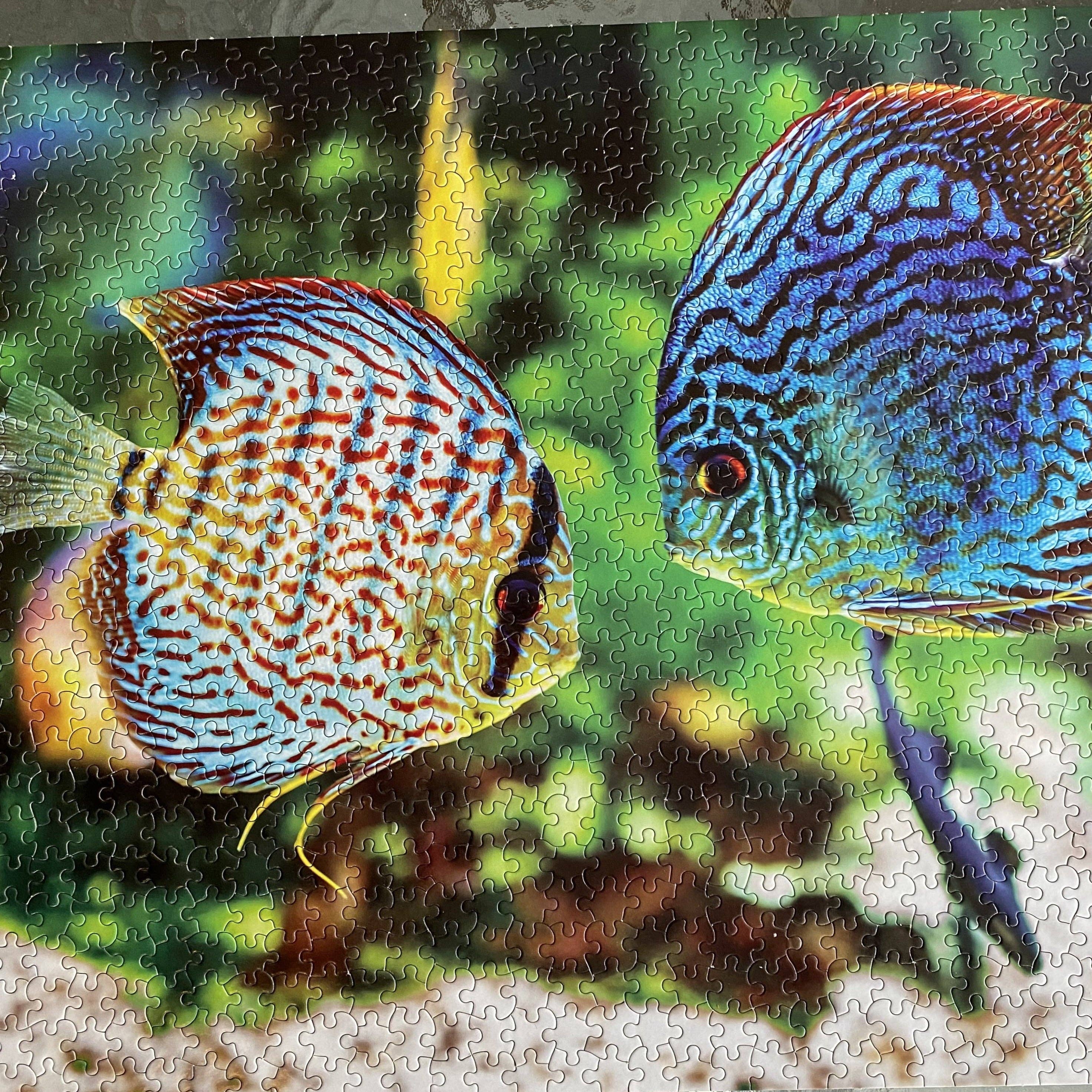 Wetplants - Wholesale Puzzle - Adult - 1000-Piece WetPlants Fish Puzzle4