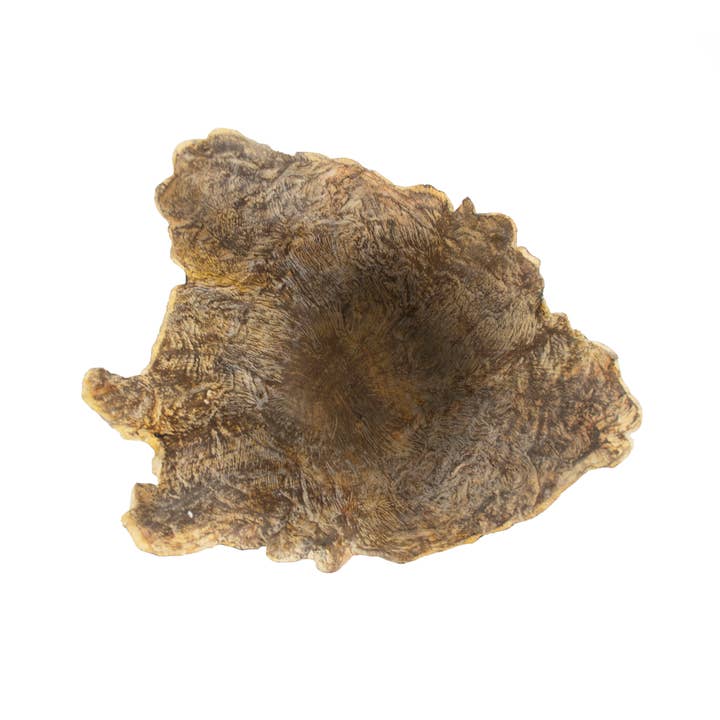 Brun vieilli Petite sculpture tronc d'arbre en résine en vente sur Faire2