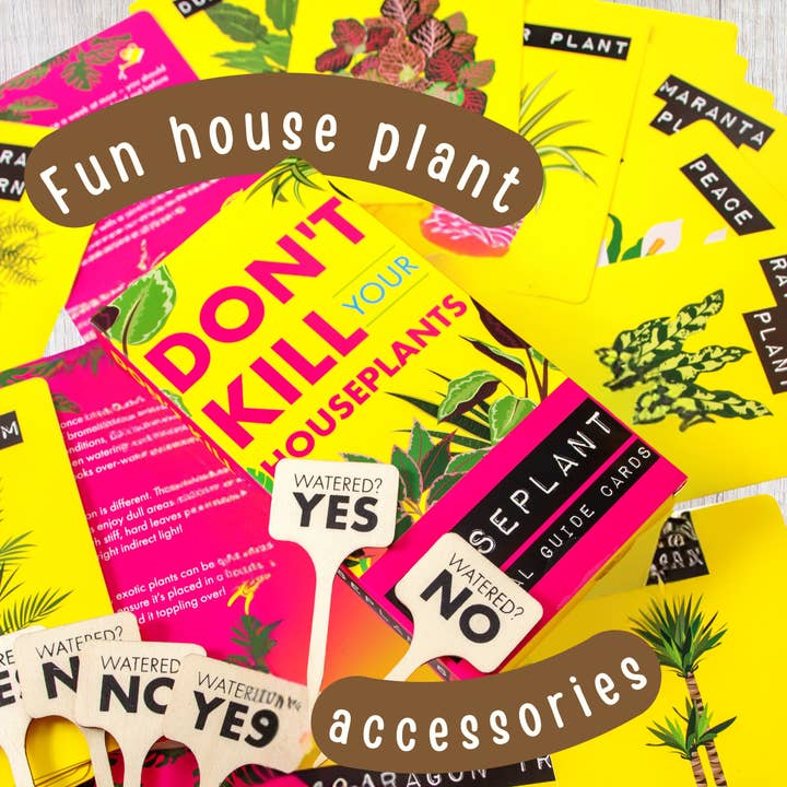 Boxer Gifts – wholesale Plant mister – Don't Kill Your Houseplants Care Guide - Plant Gifts4