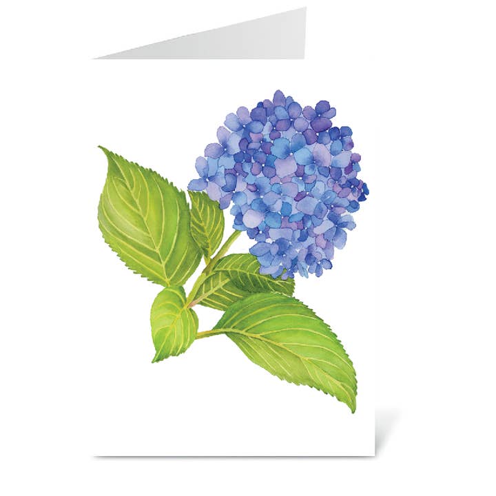 Hydrangea Card for wholesale by Bobbi Lee Wilson Art Cards
