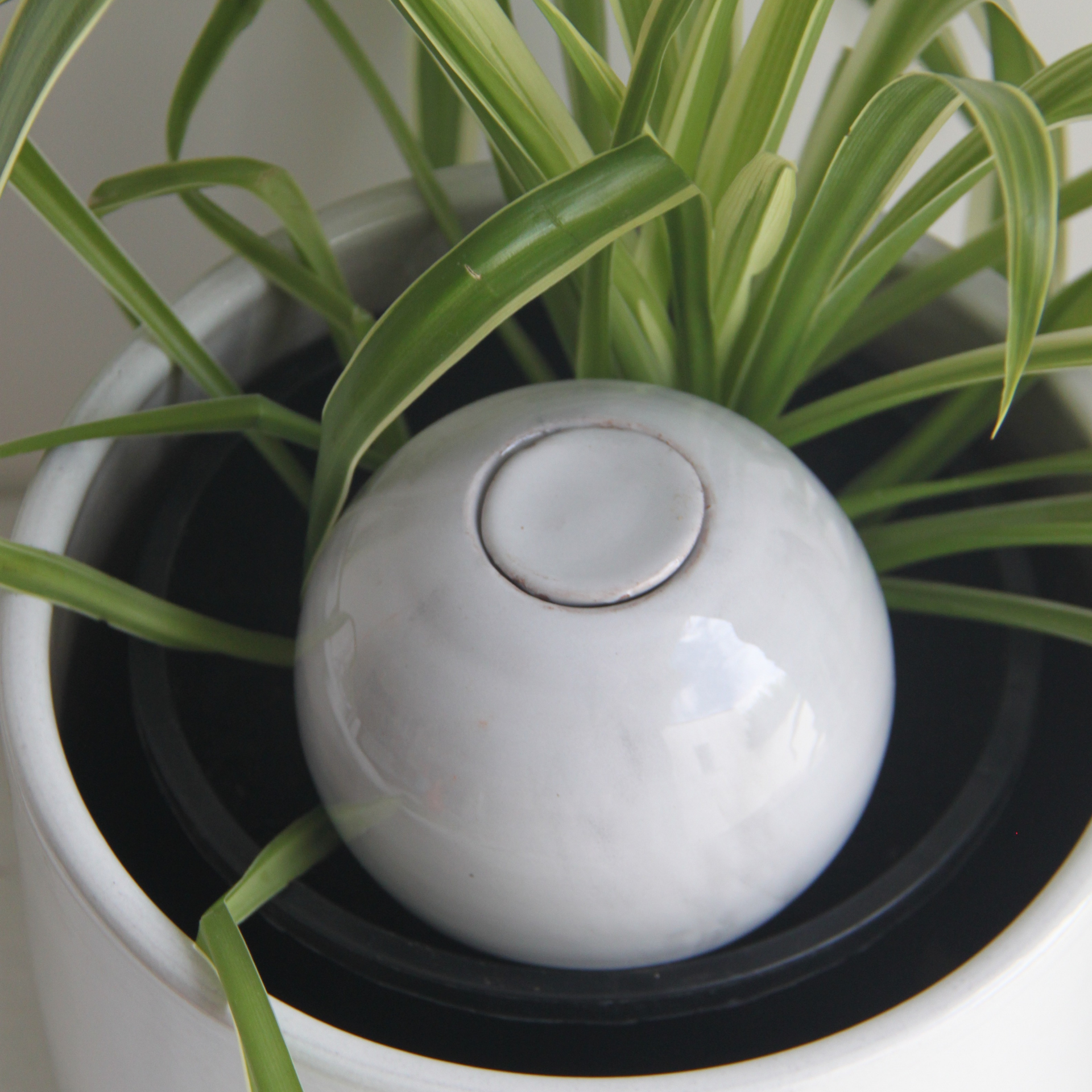 Poterie lutton - Wholesale Watering can - Marble Planter Bowls8