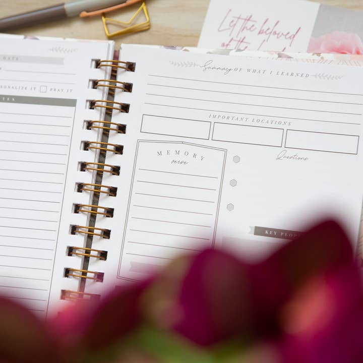 Chosen & Cherished - Wholesale Journal/Diary - Bible Study Journal | Verse Mapping Journal10