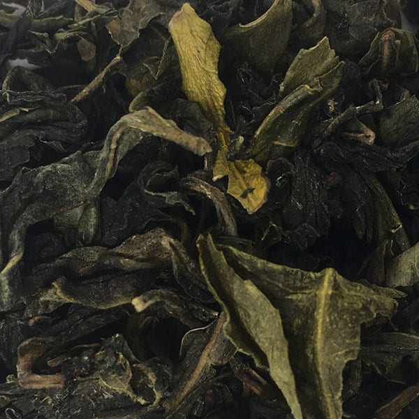 Tea Rebellion - Venta al por mayor Bolsitas de té - Forma larga verde - Té verde | Indonesia | Bolsas biodegradables3