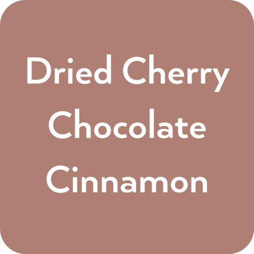 Zend Wellness - Wholesale Ground Coffee - Zend Recovery4