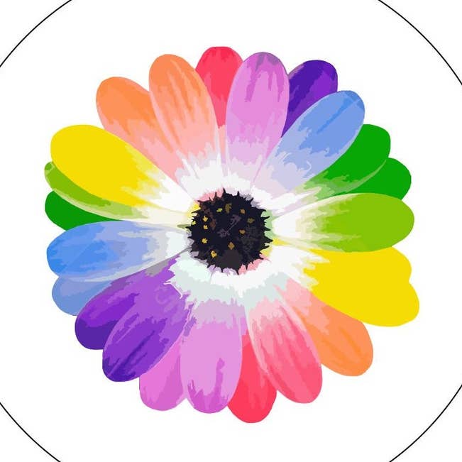 Reserveradhülle Rainbow Daisy Flower, Weiß für den Großhandel von Dirty Acres