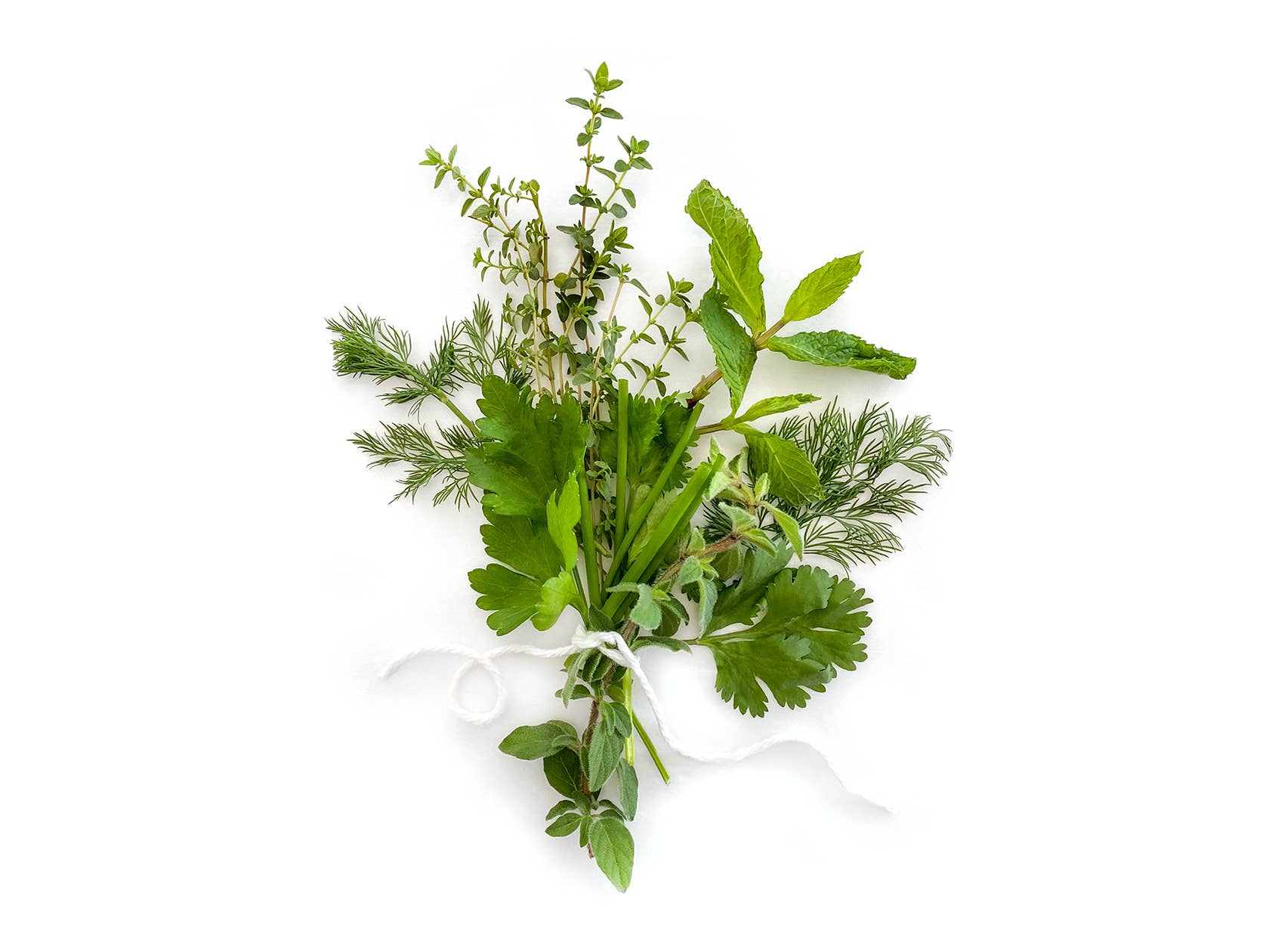 Studio 82° - Wholesale Plant Seeds - Herb Seed Drops - Mediterranean3