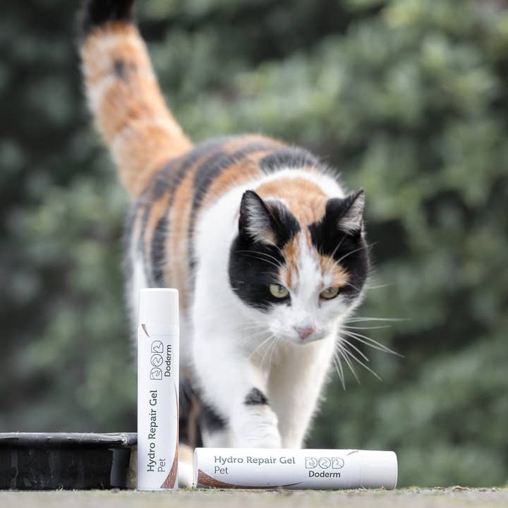 Doderm - Wholesale Pet Balm - Dog - Hydro RepairGel Pet2