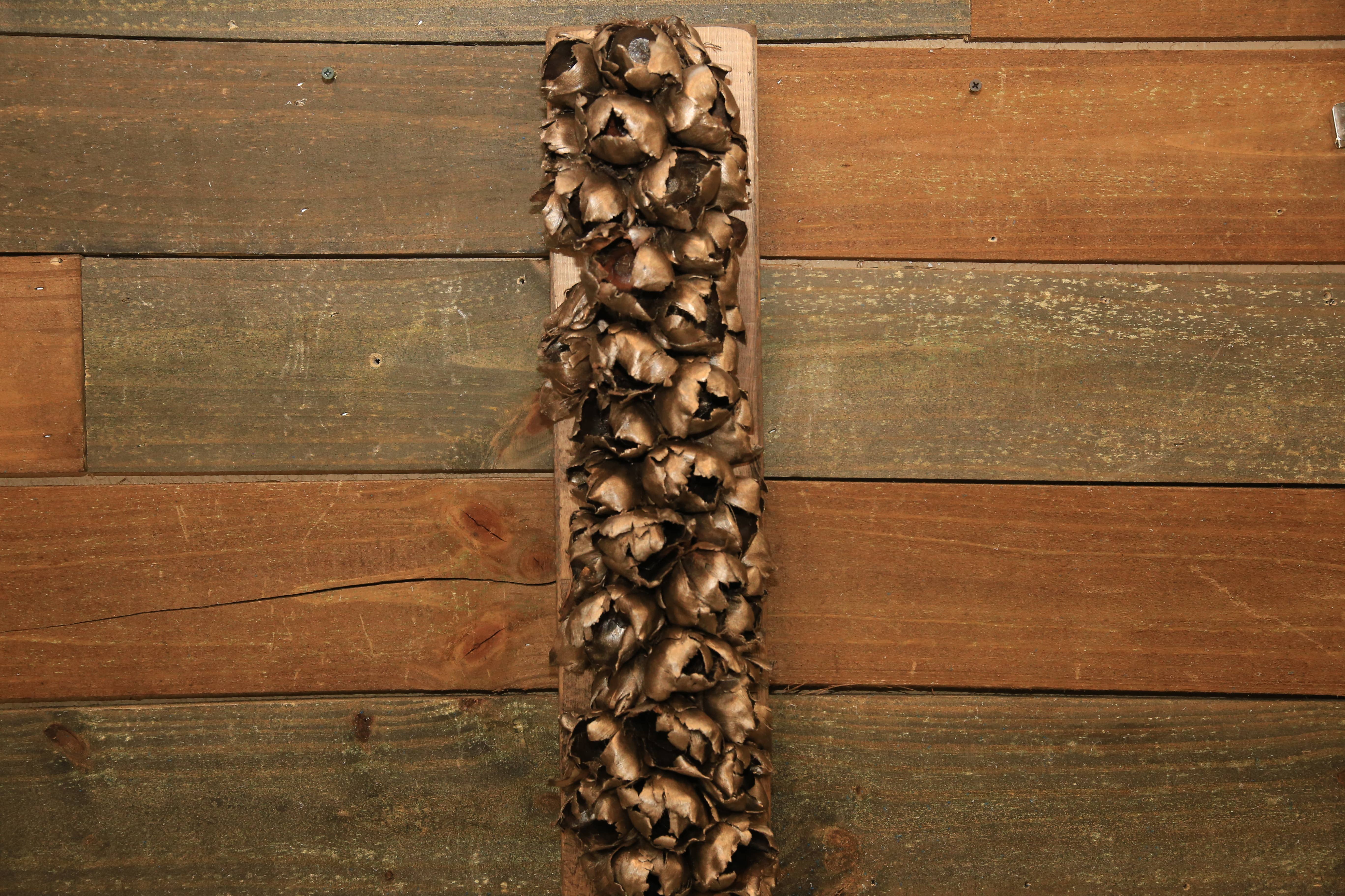 Forever Green Art - Wholesale Decorative Tabletop Object - Medium Seed Pod With Wood Base3