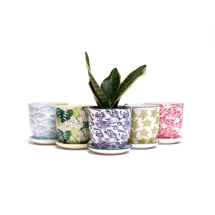 Chive - Wholesale Plant Pot - Liberte Indoor Porcelain Plant Pots