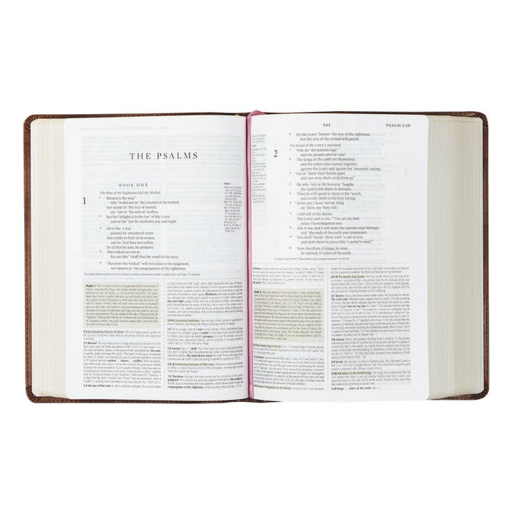 Hosanna Revival - Wholesale Book - Adult - ESV Study Bible : Aurora Theme