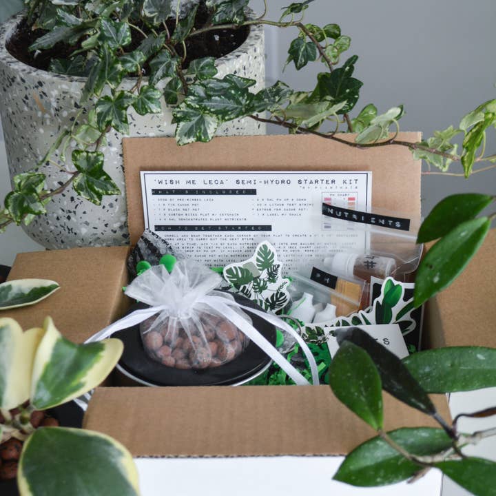 Wish Me 'Leca' Starter Kit and other Purchase Wholesale leche bomilk. Free Returns & Net 60 Terms on Faire trending on Faire.