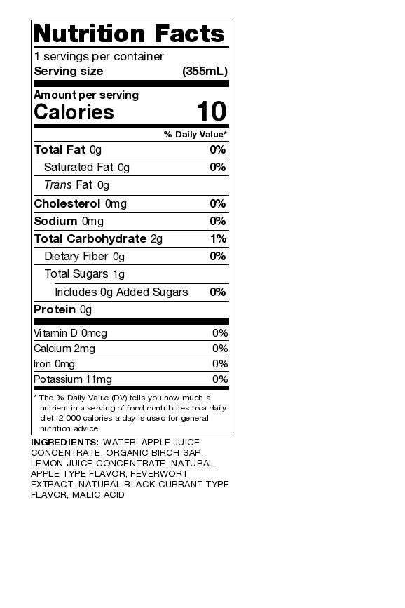 Upstate Stock Seltzers – Großhandel Sprudelwasser – APFEL- UND STACHELBEER-BIRKENSAFT-SELTERS - 12er-Pack4