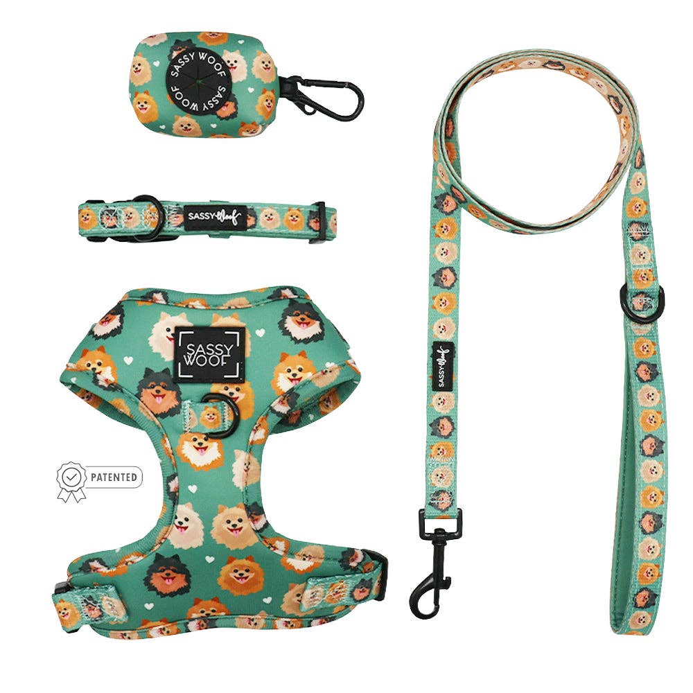 Pawda Nylon Harness & Leash, Paws Circle