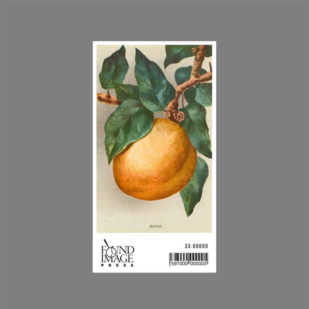 Found Image Press - Vente Autocollant - Autocollant FR-27 Abricot1