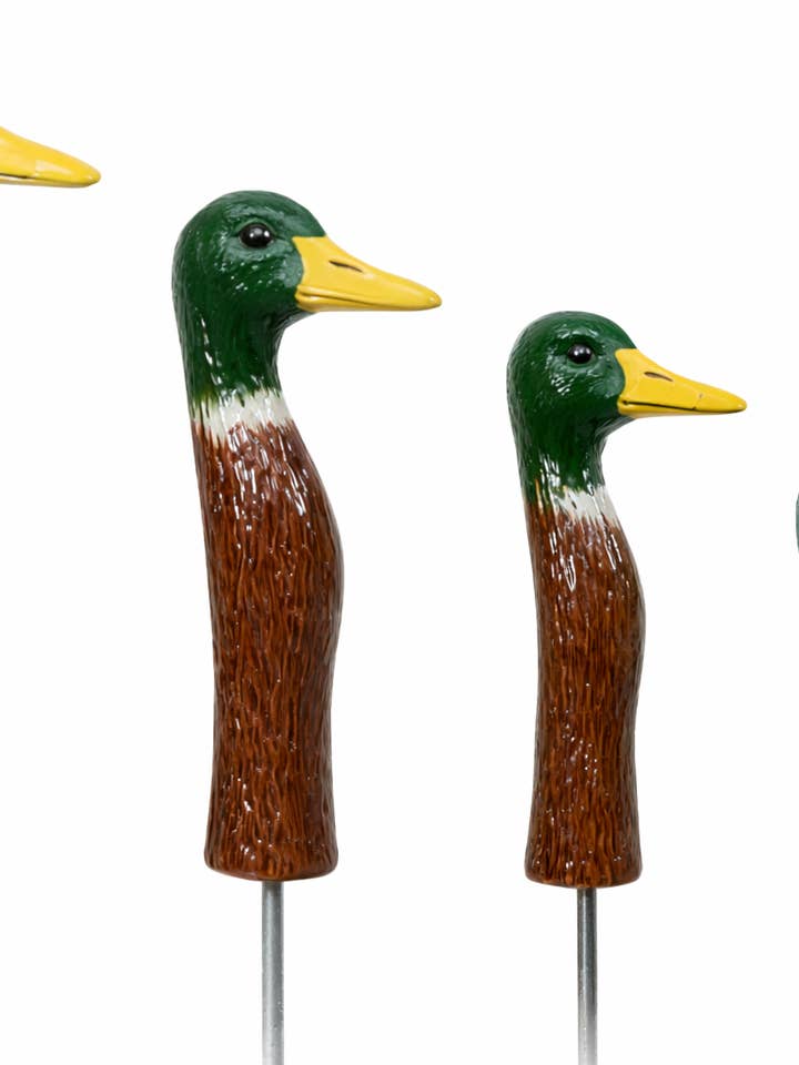 Ducks for wholesale by Goose & Company