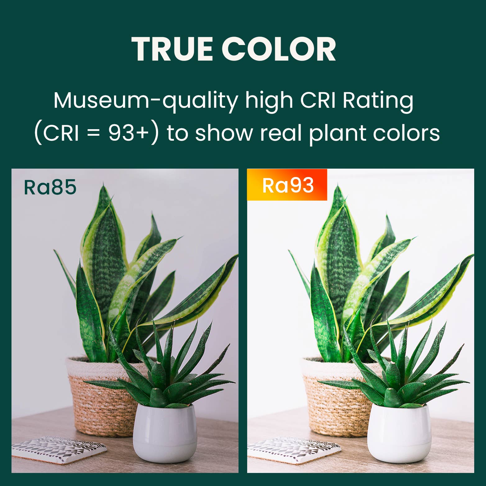 MY CITY GARDEN - Wholesale Garden Tool - LED Grow Light Bars - 1.5ft, 5000K Full Spectrum x66