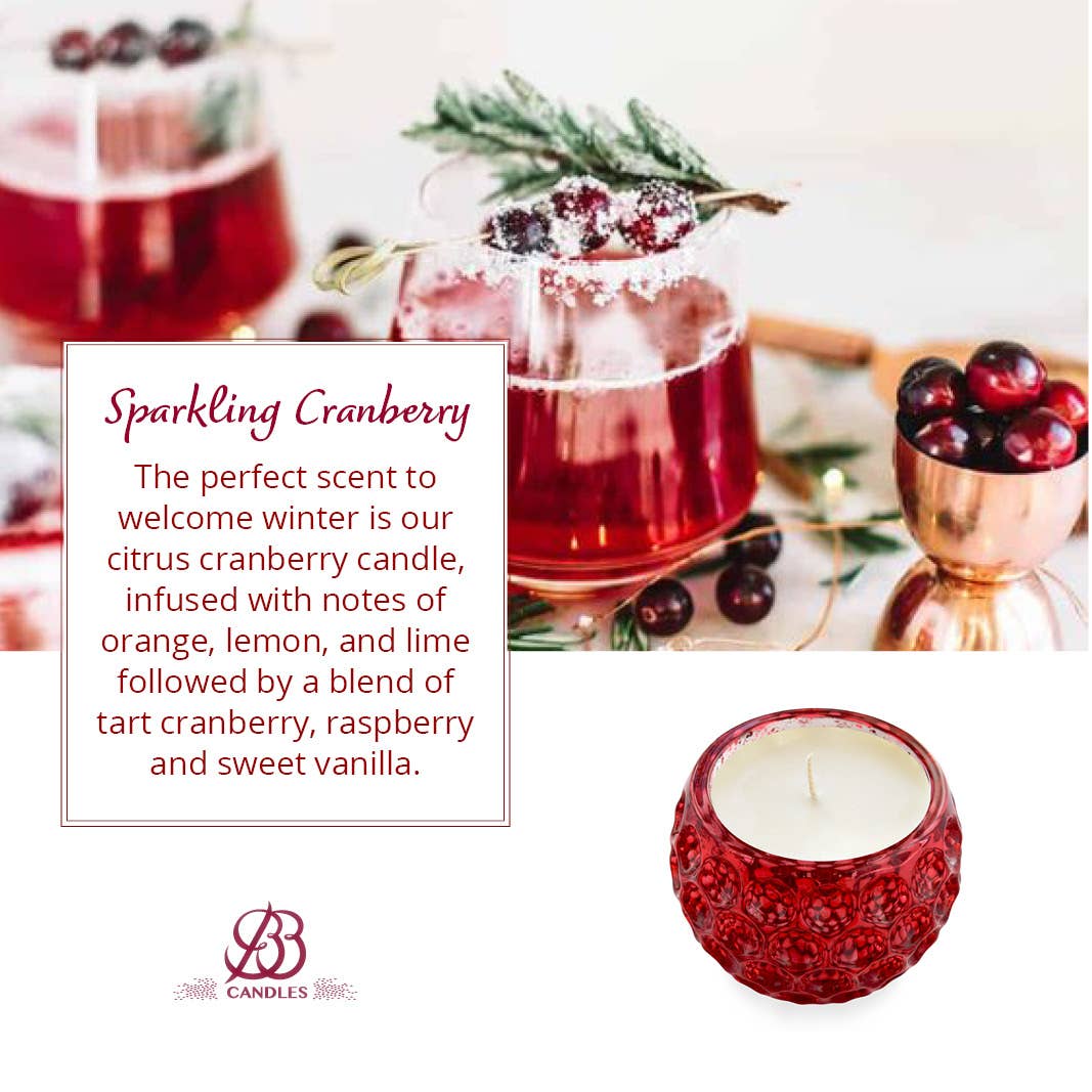 REMOVED BRAND - Wholesale Jar/Filled Candle - BB Illumination Holiday Collection-9oz-Sparkling Cranberry2